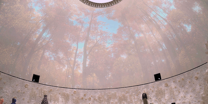 1e2c6dfc1547ab869d09f92e7f2ba270_1745911208_7643.gif
